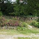 images/galeries/15/vignettes/SB 18.jpg